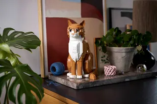 Oranje kat LEGO-set afbeelding 14