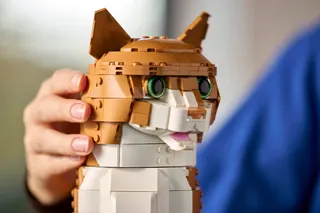 Oranje kat LEGO-set afbeelding 5