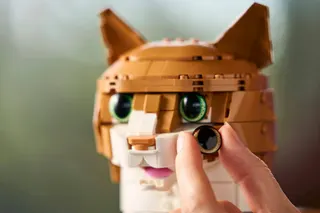 Oranje kat LEGO-set afbeelding 6