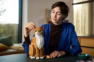 Oranje kat LEGO-set afbeelding 12