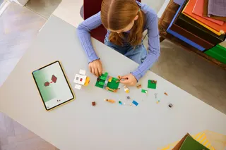 Kippenboerderij LEGO-set afbeelding 5