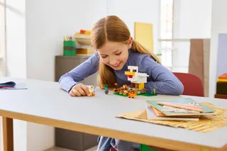Kippenboerderij LEGO-set afbeelding 9