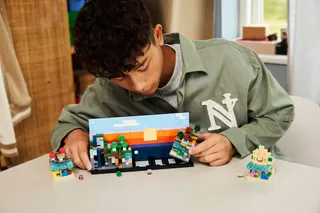 Minibiomen LEGO-set afbeelding 9