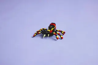 Wilde dieren: spannende spin LEGO-set afbeelding 9