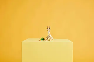 Lief konijn LEGO-set afbeelding 9
