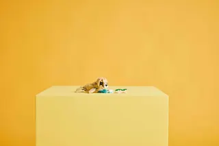 Lief konijn LEGO-set afbeelding 10