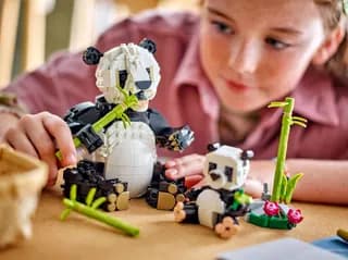 Wilde dieren: pandafamilie LEGO-set afbeelding 5