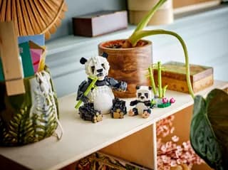 Wilde dieren: pandafamilie LEGO-set afbeelding 6