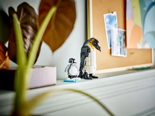 Wilde dieren: pandafamilie LEGO-set afbeelding 8