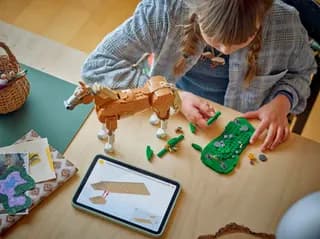 Prachtig paard LEGO-set afbeelding 5