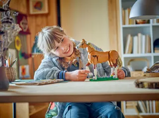 Prachtig paard LEGO-set afbeelding 6
