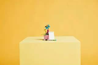 Typemachine met bloemen LEGO-set afbeelding 9