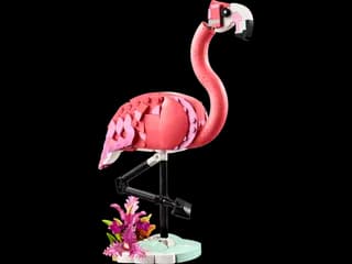 Wilde dieren: roze flamingo LEGO-set