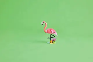 Wilde dieren: roze flamingo LEGO-set afbeelding 8
