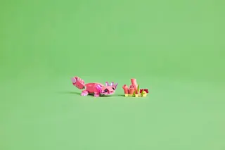 Wilde dieren: roze flamingo LEGO-set afbeelding 10