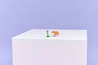 Schattige hamster met bloem LEGO-set afbeelding 8