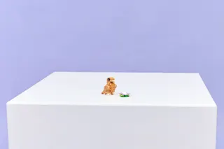 Schattige hamster met bloem LEGO-set afbeelding 10