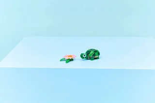 Schildpad met waterlelie LEGO-set afbeelding 7