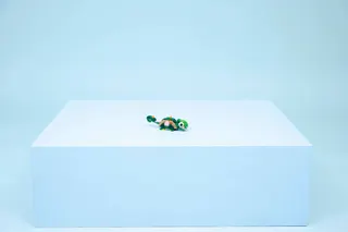 Schildpad met waterlelie LEGO-set afbeelding 8
