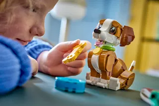 Schattige dieren: speelse puppy LEGO-set afbeelding 6
