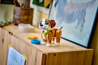 Schattige dieren: speelse puppy LEGO-set afbeelding 7