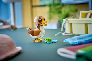 Schattige dieren: speelse puppy LEGO-set afbeelding 9