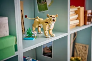 Wilde dieren: majestueuze leeuw LEGO-set afbeelding 7