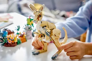 Wilde dieren: koalafamilie LEGO-set afbeelding 8