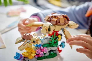 Wilde dieren: koalafamilie LEGO-set afbeelding 9