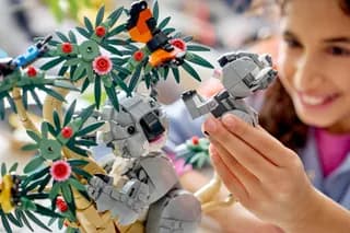 Wilde dieren: koalafamilie LEGO-set afbeelding 11