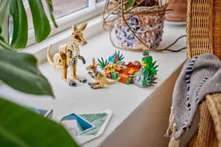 Wilde dieren: koalafamilie LEGO-set afbeelding 13