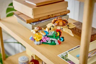 Wilde dieren: koalafamilie LEGO-set afbeelding 14