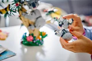 Wilde dieren: koalafamilie LEGO-set afbeelding 5