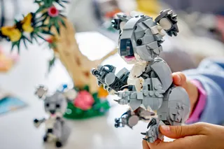 Wilde dieren: koalafamilie LEGO-set afbeelding 6