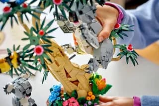 Wilde dieren: koalafamilie LEGO-set afbeelding 7
