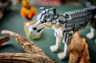 Bosdieren: grijze wolf LEGO-set afbeelding 13