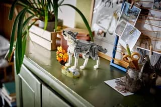 Bosdieren: grijze wolf LEGO-set afbeelding 14