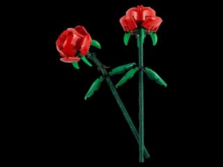 Rozen LEGO-set