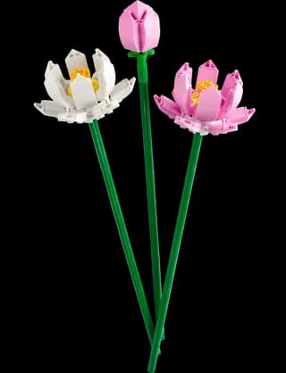 Lotusbloemen LEGO-set
