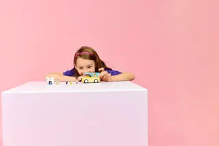 Bestelwagen met dierenaccessoires LEGO-set afbeelding 9