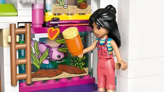 Lianns huis LEGO-set afbeelding 4