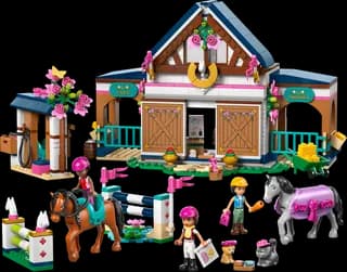 Paardenstal en manege LEGO-set