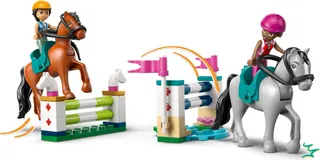 Paardenstal en manege LEGO-set afbeelding 5