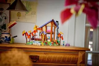 Gezellige boshut in de herfst LEGO-set afbeelding 15