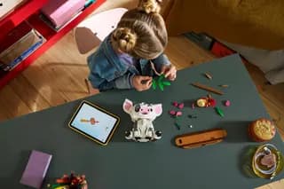 Pua LEGO-set afbeelding 6