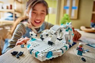 Natuurwetenschap en Techniek Dieren op de Noordpool LEGO-set afbeelding 12