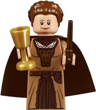 Kasteel Zweinstein LEGO-set afbeelding 42