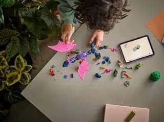 Rontu de Meesterdraak LEGO-set afbeelding 4