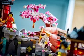 15-jarig jubileum: De oude stad LEGO-set afbeelding 11