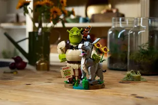 Shrek, Ezel en de Gelaarsde Kat LEGO-set afbeelding 14
